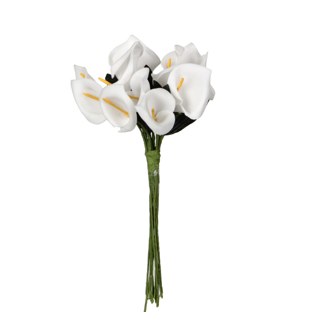 CALLA BELA 5cm x 144