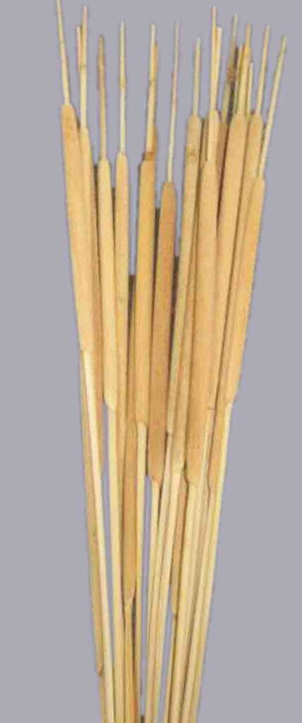 ROGOZ X50