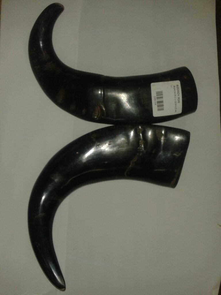 ROG BIZONOV 25cm POLIRAN