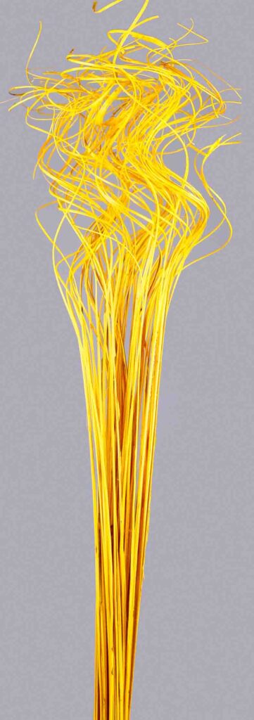 TING TING X50