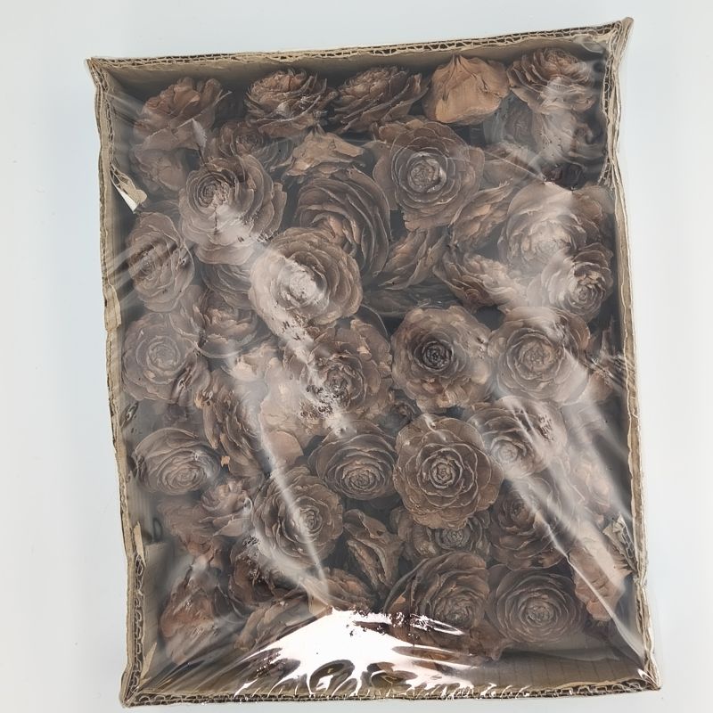 CEDAR CVET NATURX100