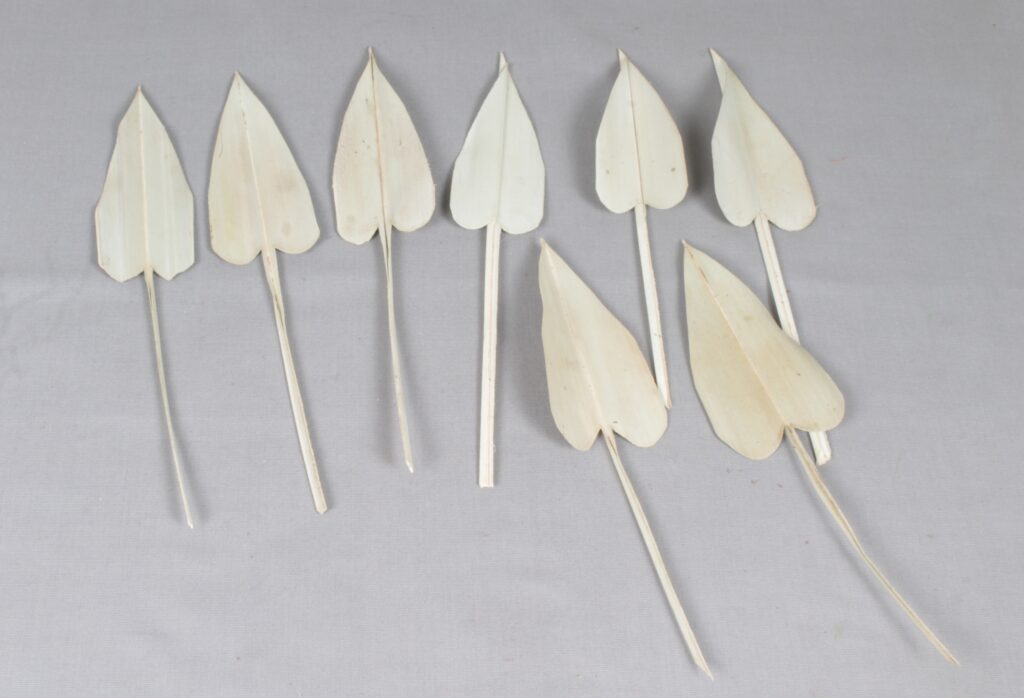 PALM ARROW X100