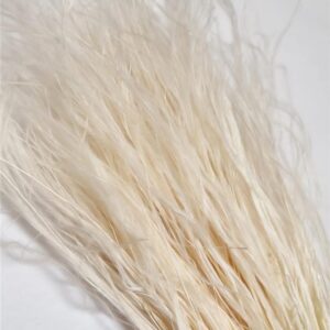 STIPA PENNATA BELA 50gr