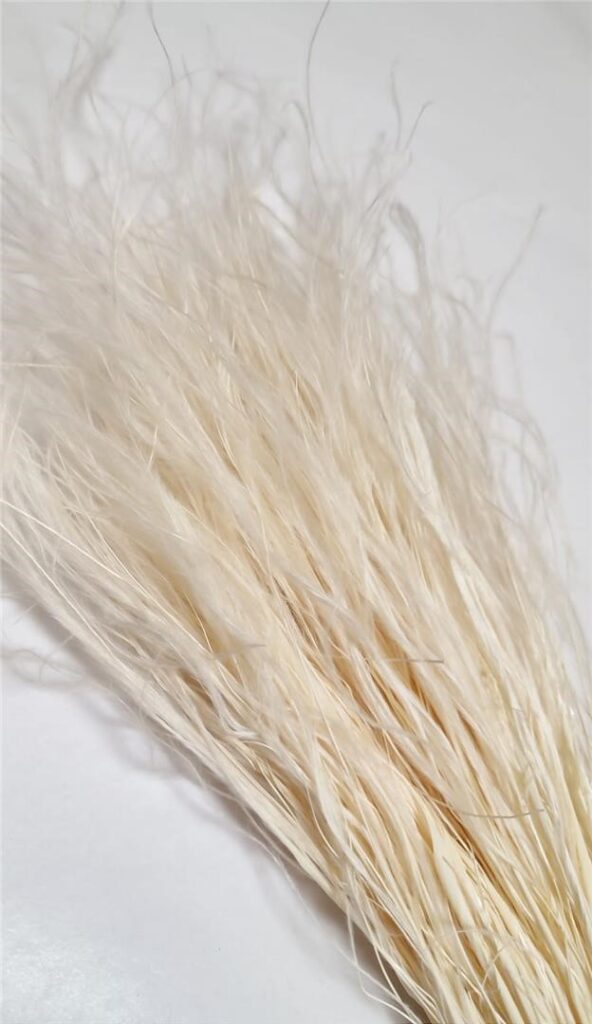 STIPA PENNATA BELA 50gr