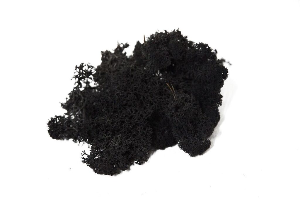ISLANDSKI MAH 500gr