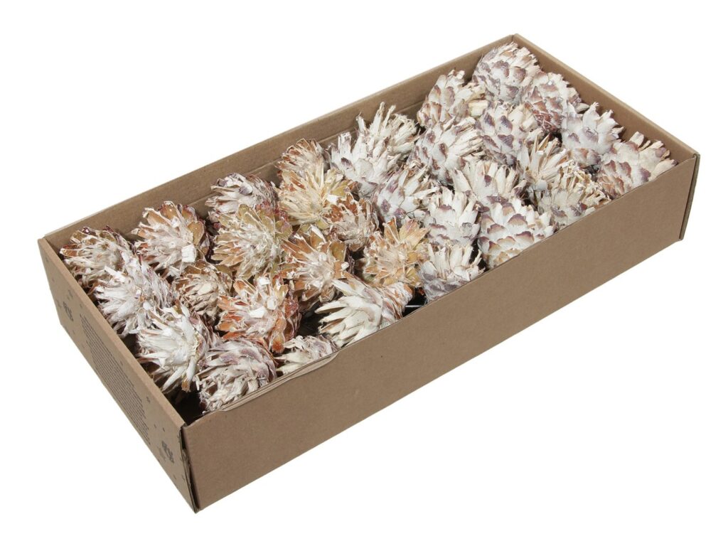 PLUMOSUM Z BELIM 10cm X55