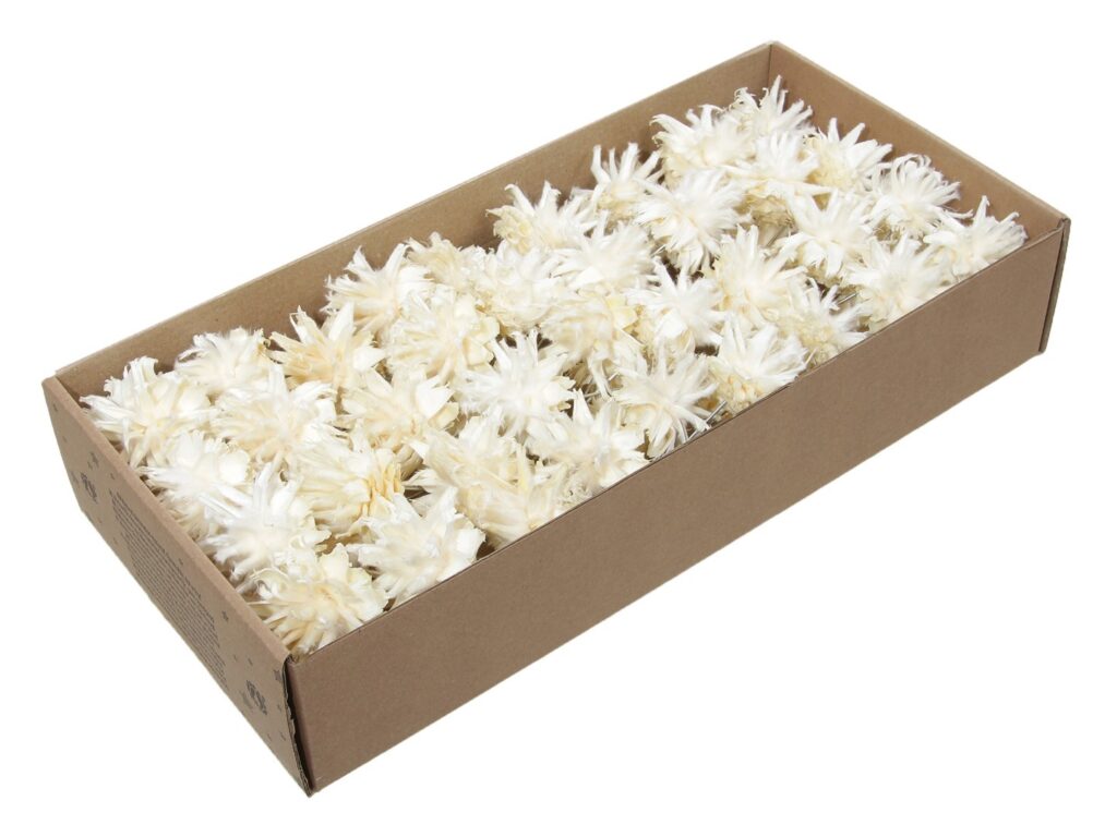 PLUMOSUM BELJEN 10cm X55