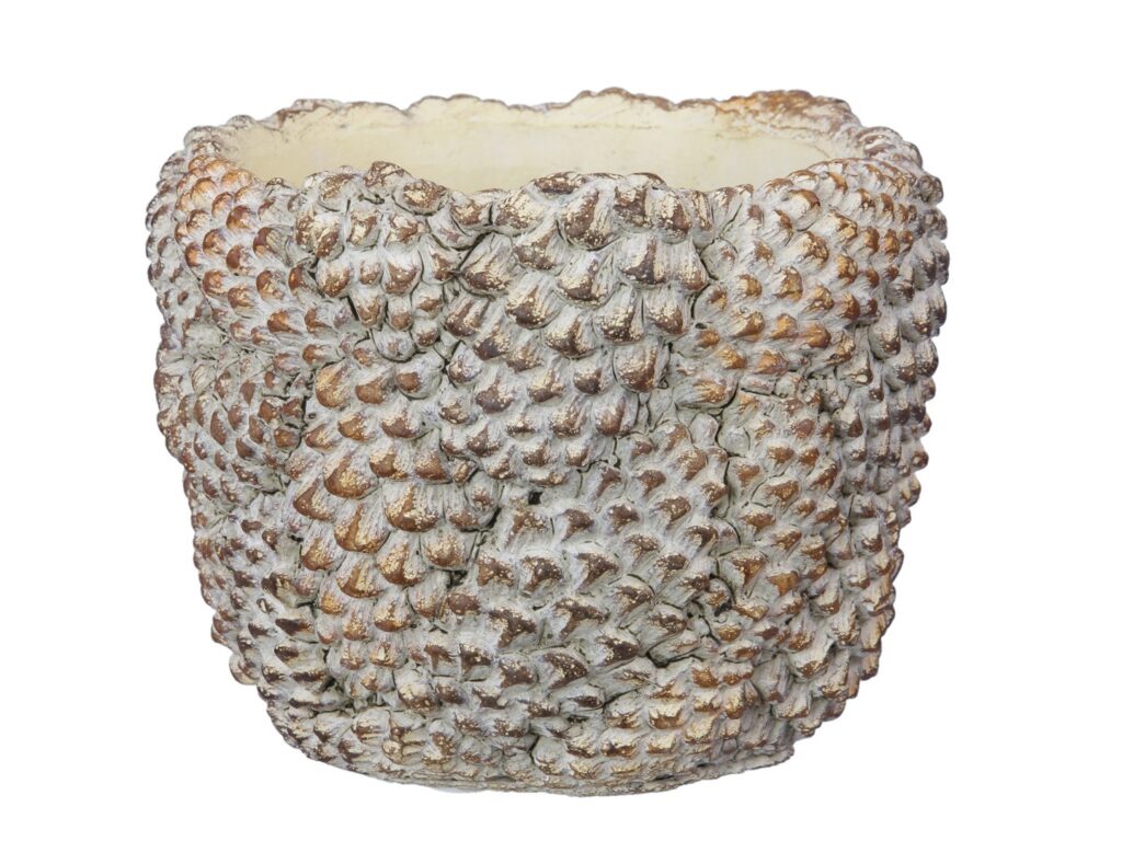 LONEC PINE 15X12