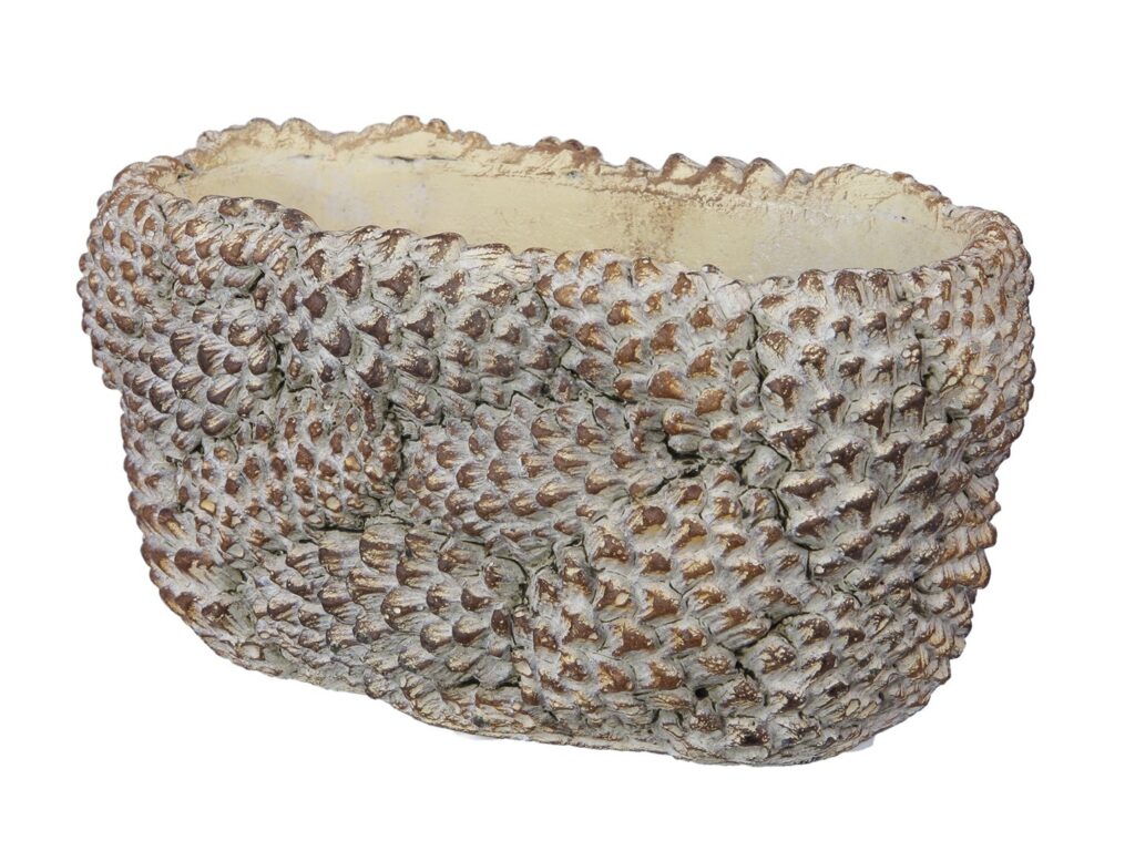 LONEC PINE 20X10X10