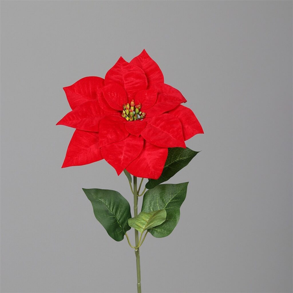 POINSETTIA RDEČA 65cm