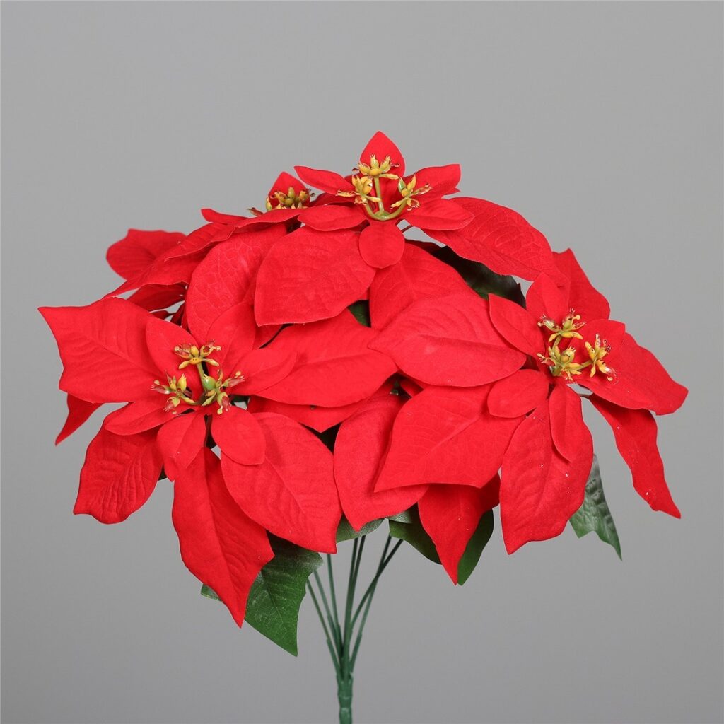 POINSETTIA x7 42cm RDEČA
