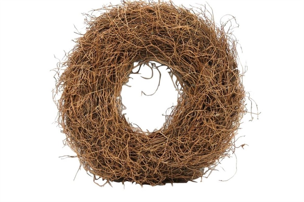VENČEK FERN ROOT D38