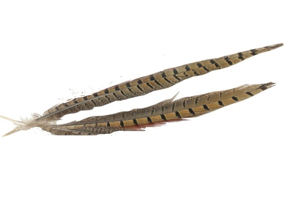 PERJE FAZANA 2X 30cm
