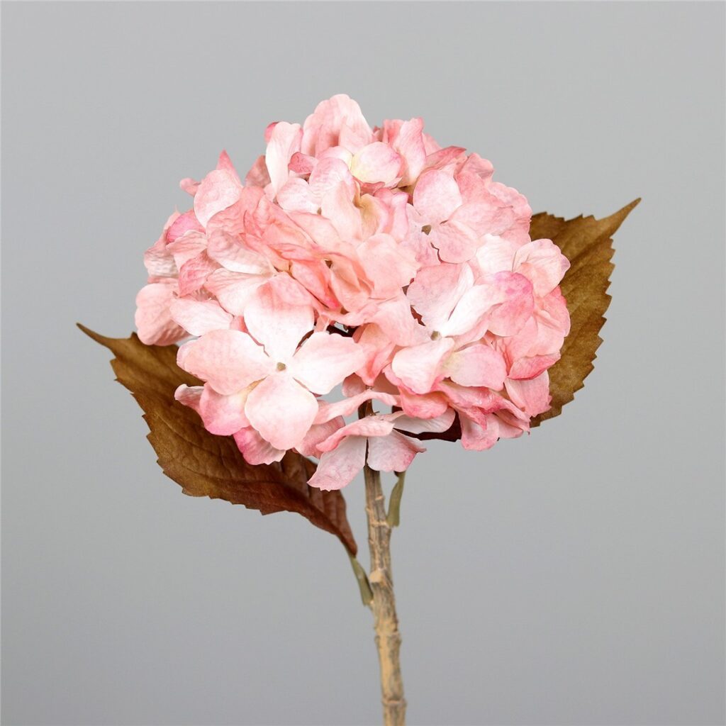 HORTENZIJA DRY ROZA 44cm