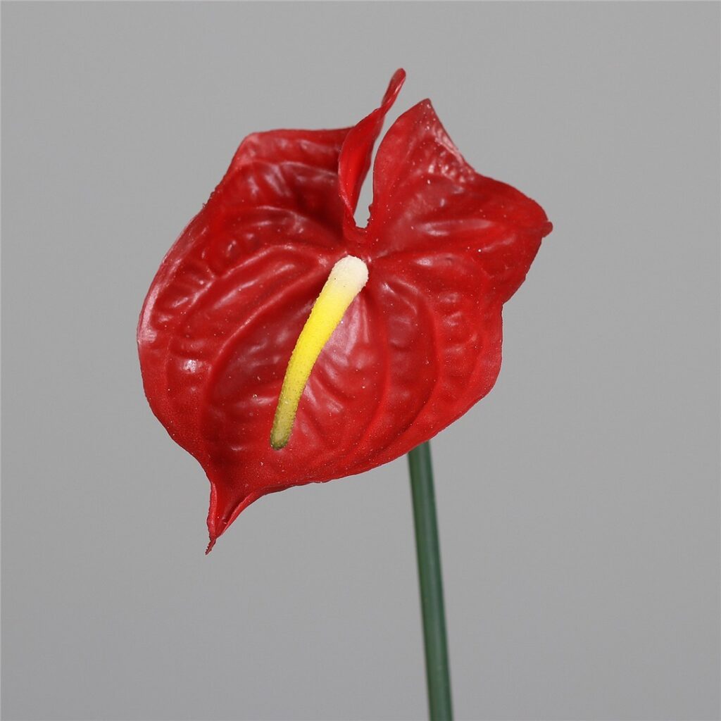 ANTHURIUM 65cm RDEČ