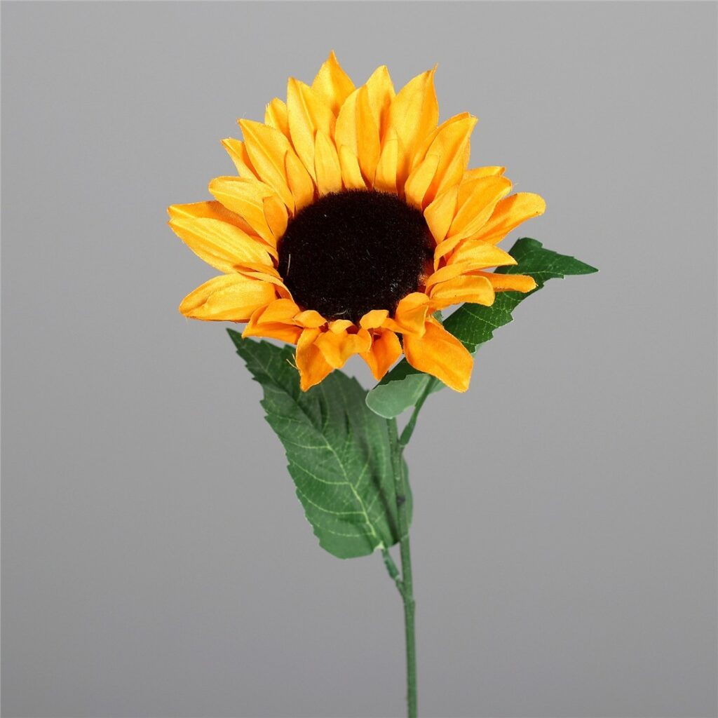 SONČNICA 20cm
