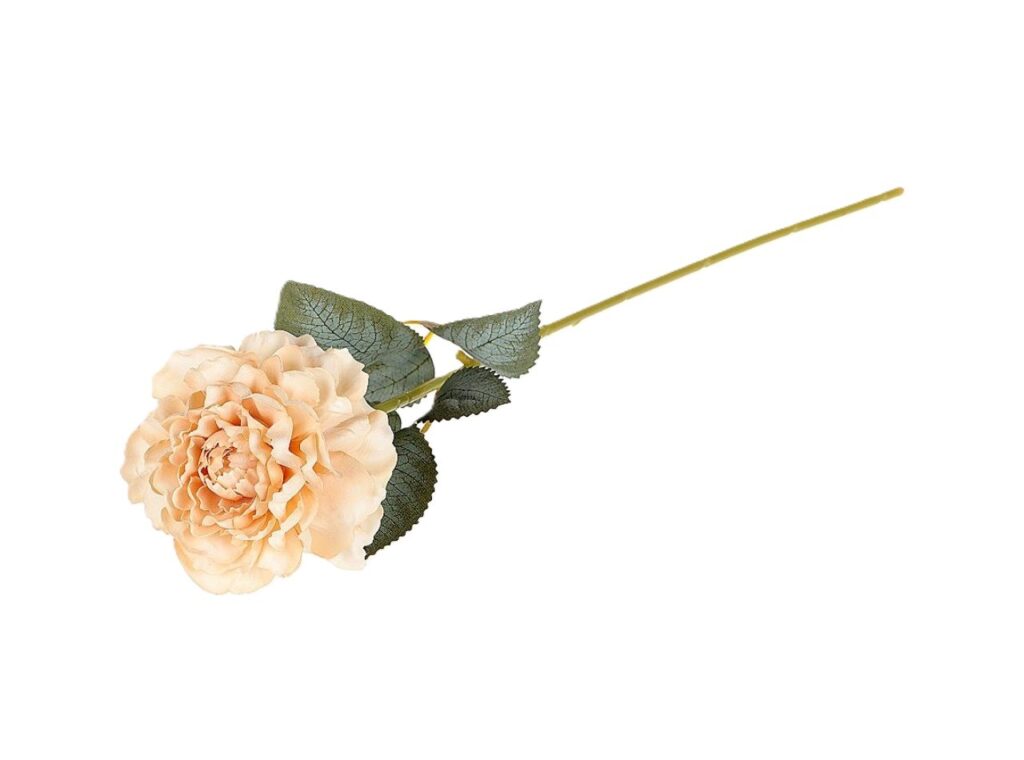 VRTNICA NUOVA KREM 42cm
