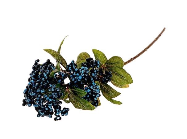 BEZGOVE JAGODE 60cm