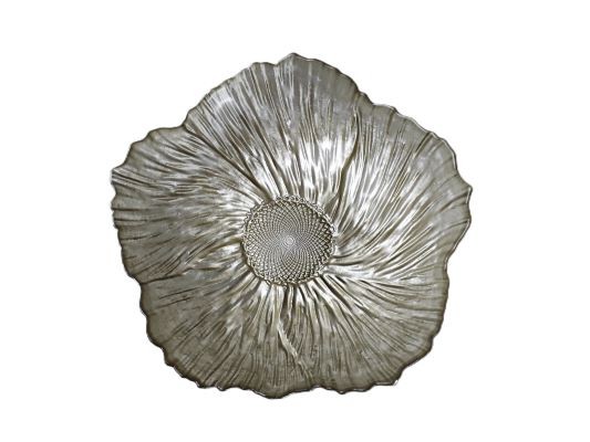 SKLEDA RANIA ŠAMPANJE7X25