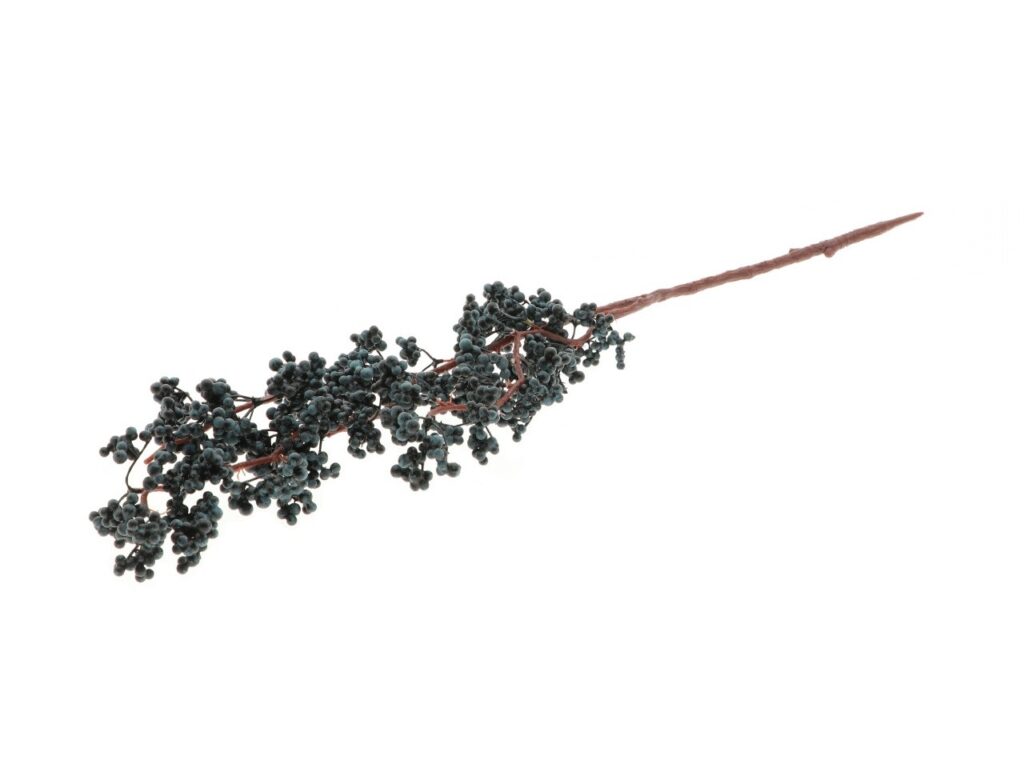 ABOLOUS STEBLO 75cm
