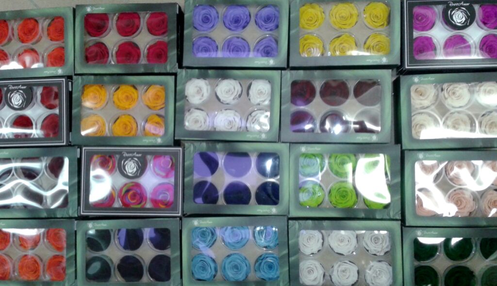 VRTNICA STABILIZIRANA VSE BARVE