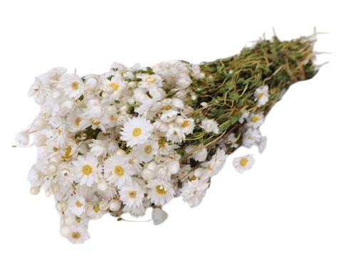 Rhodante natur bel 100g