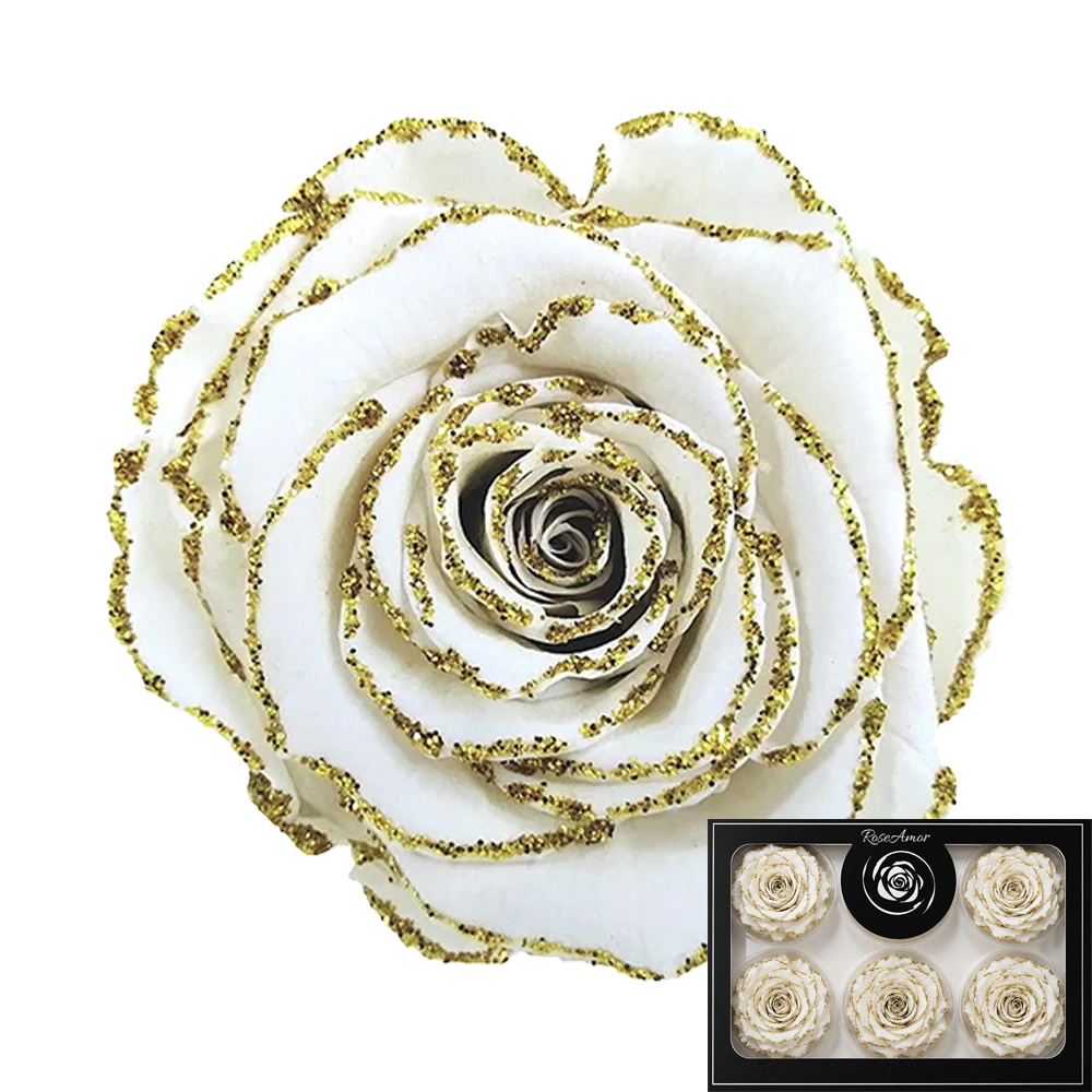 Stabilizirana vrtnica Rose Amor 6 kos - bela z zlatimi bleščicami
