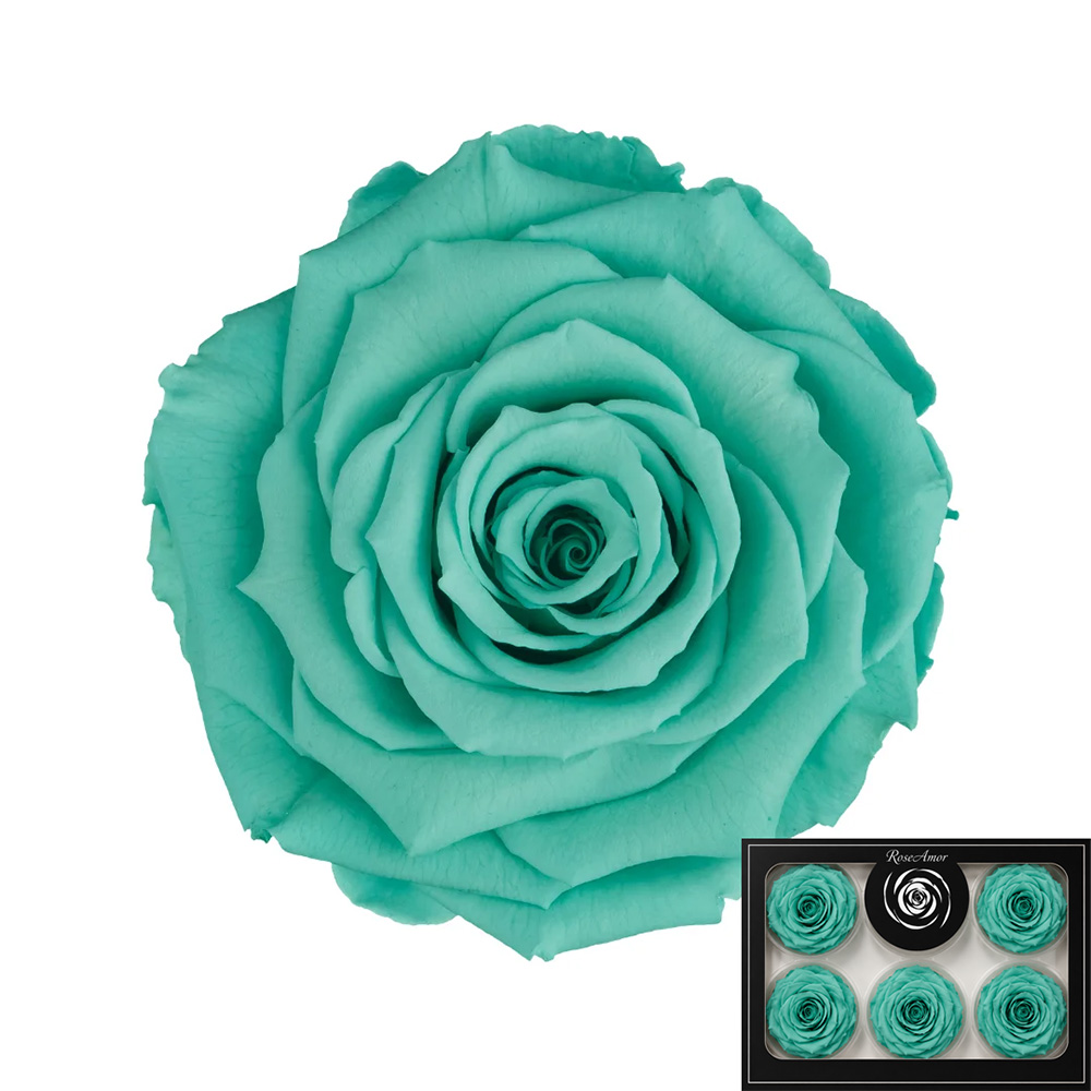 Stabilizirana vrtnica Rose Amor 6 kos - mint (blu02)
