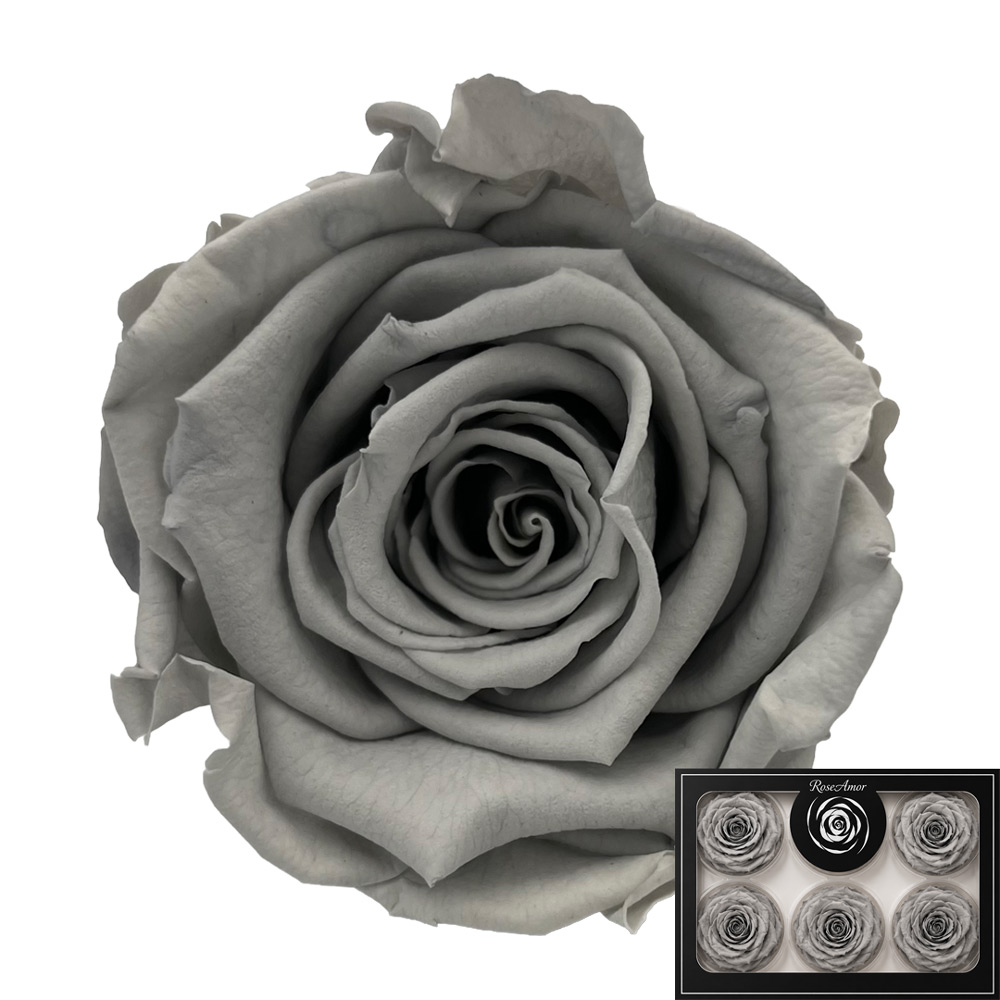 Stabilizirana vrtnica Rose Amor 6 kos - svetlo sive (gry02)