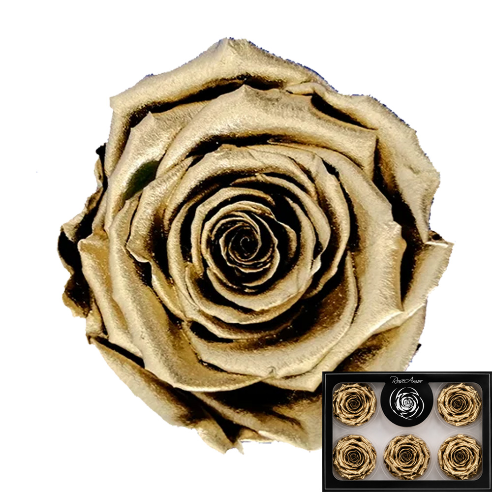 Stabilizirana vrtnica Rose Amor 6 kos - zlata (m4gold