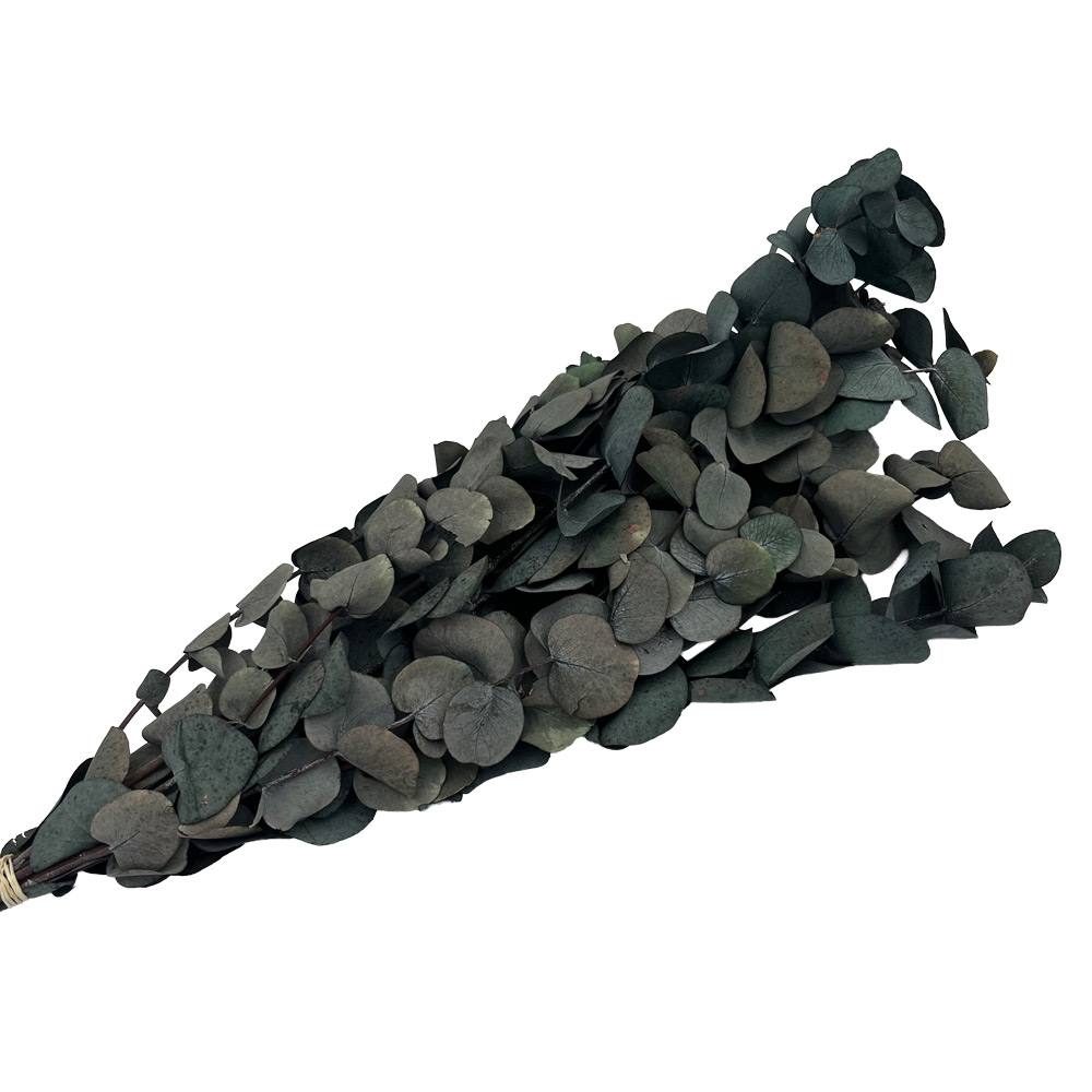 Evkaliptus spiral 100 g