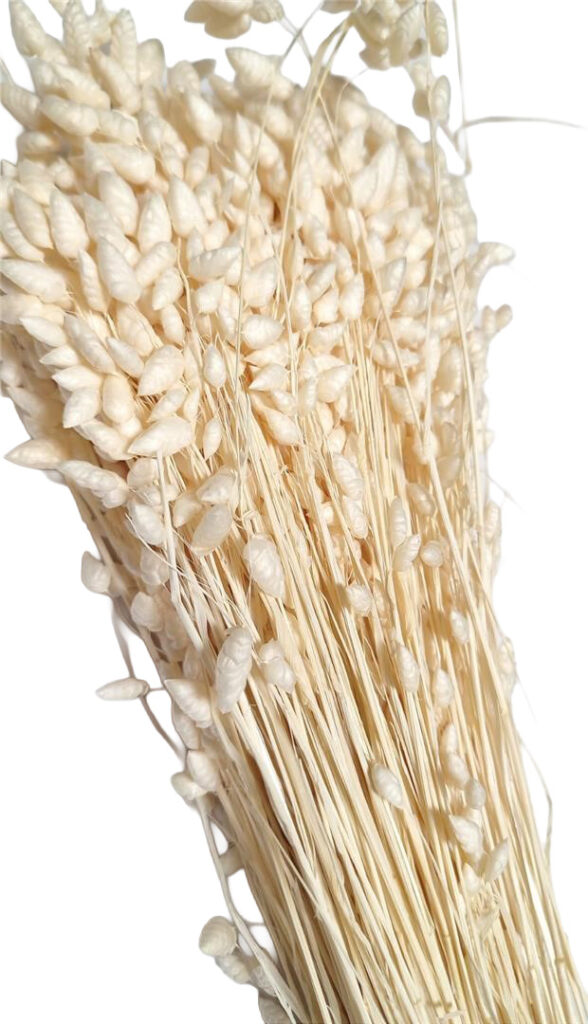 Briza Maxi beljena 100 g