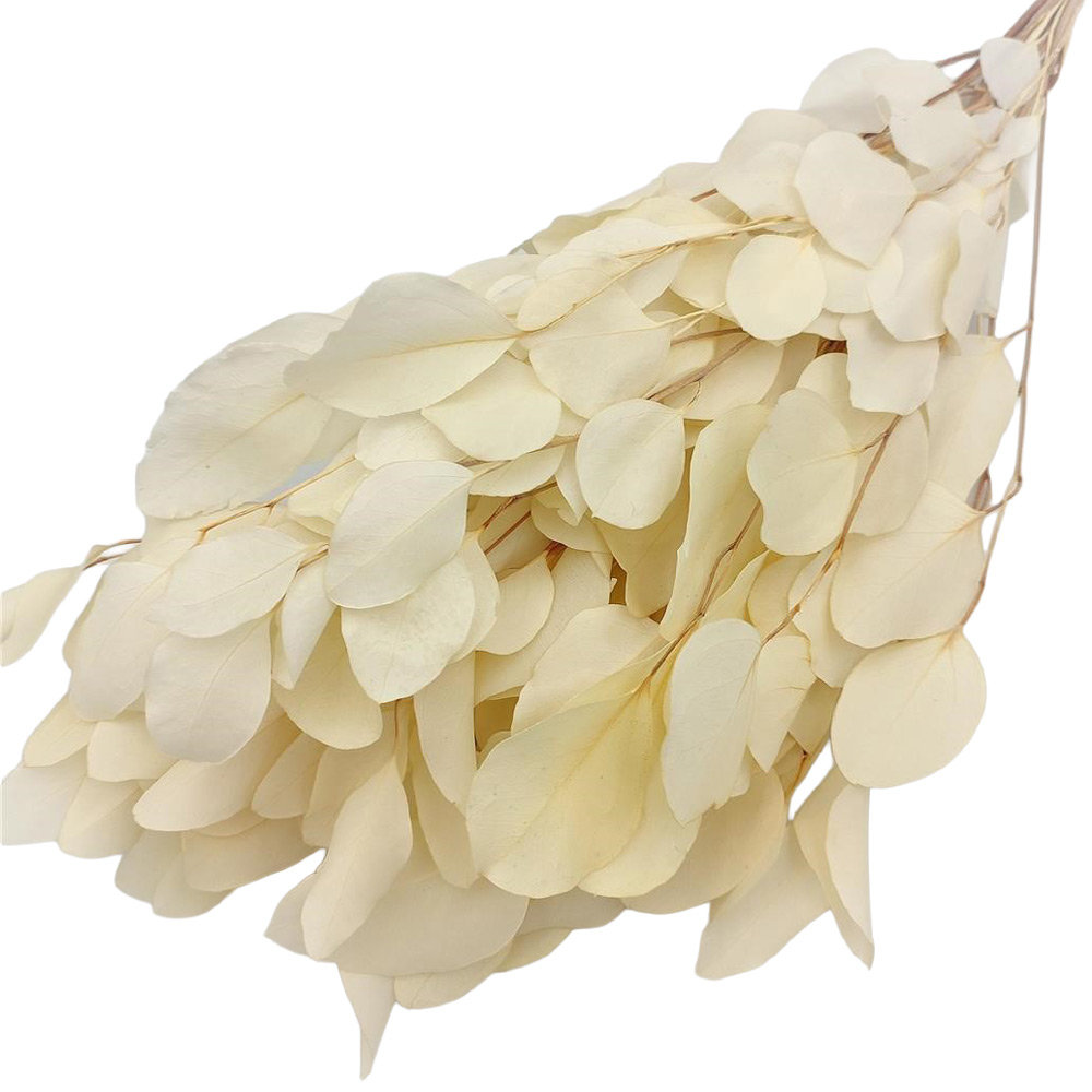 Evkaliptus Populus beljen 70 g