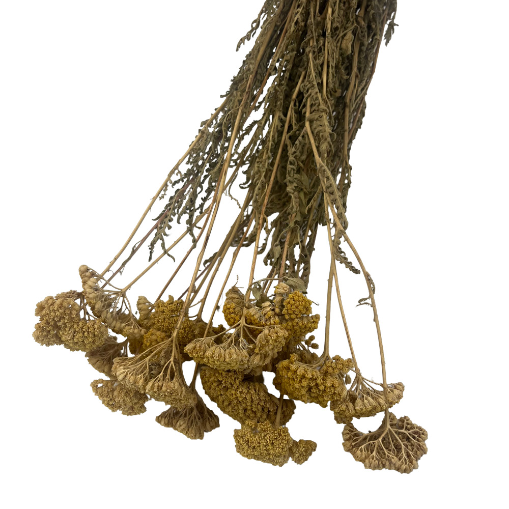 Suho cvetje Achillea Natural - 100 g