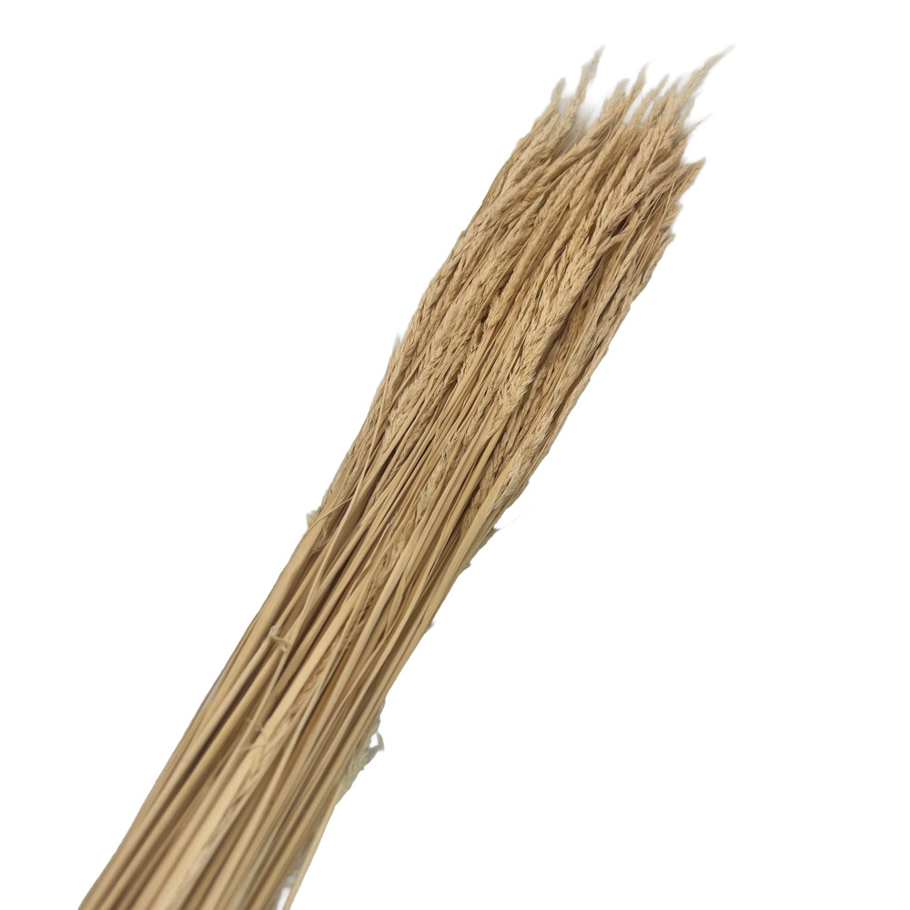 Suho cvetje Piumeta bela - 100 g
