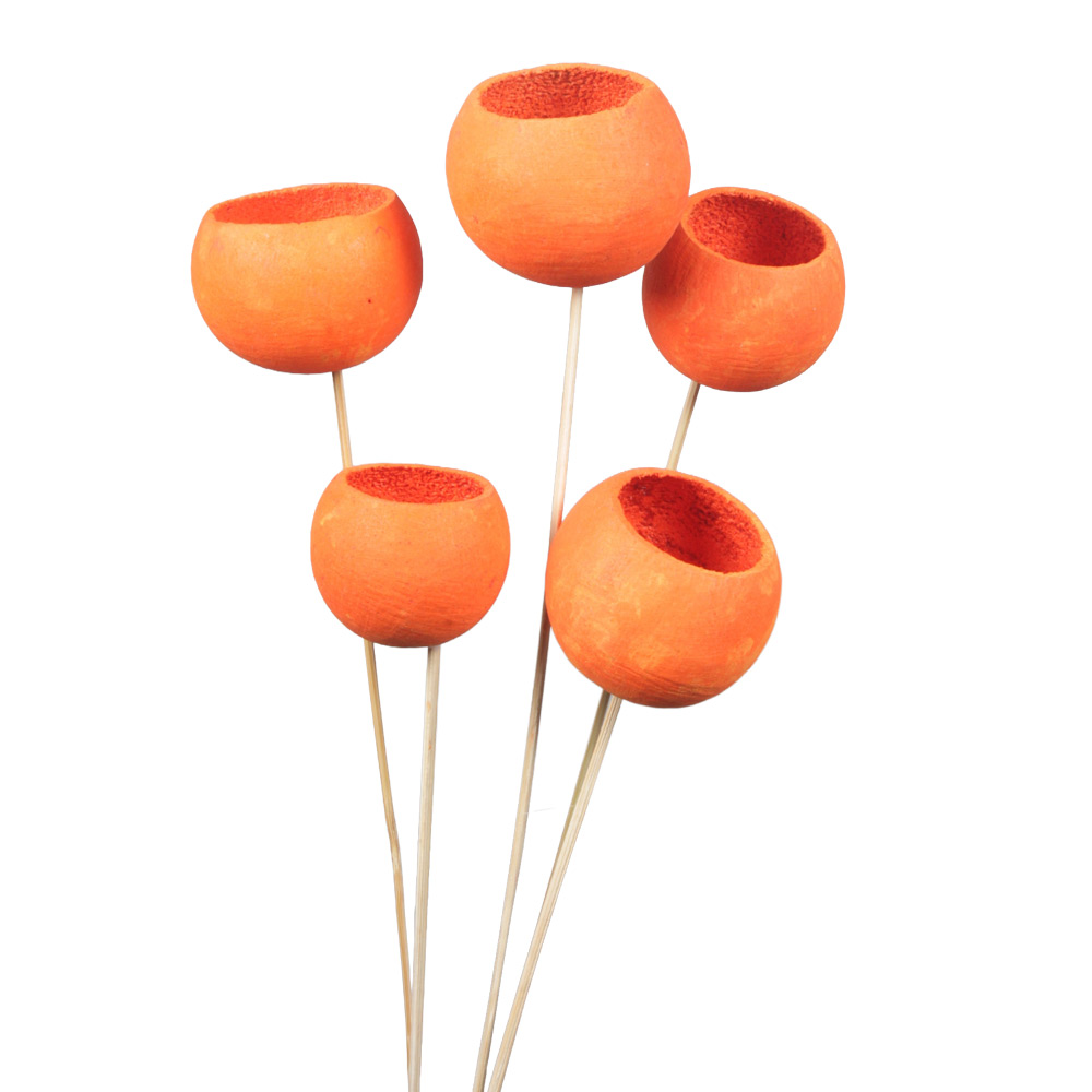 Oranžen Bell Cup na piku - 15 kosov