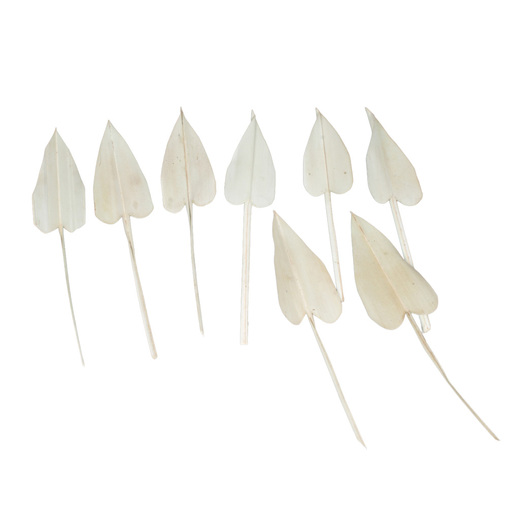 PALM ARROW X100