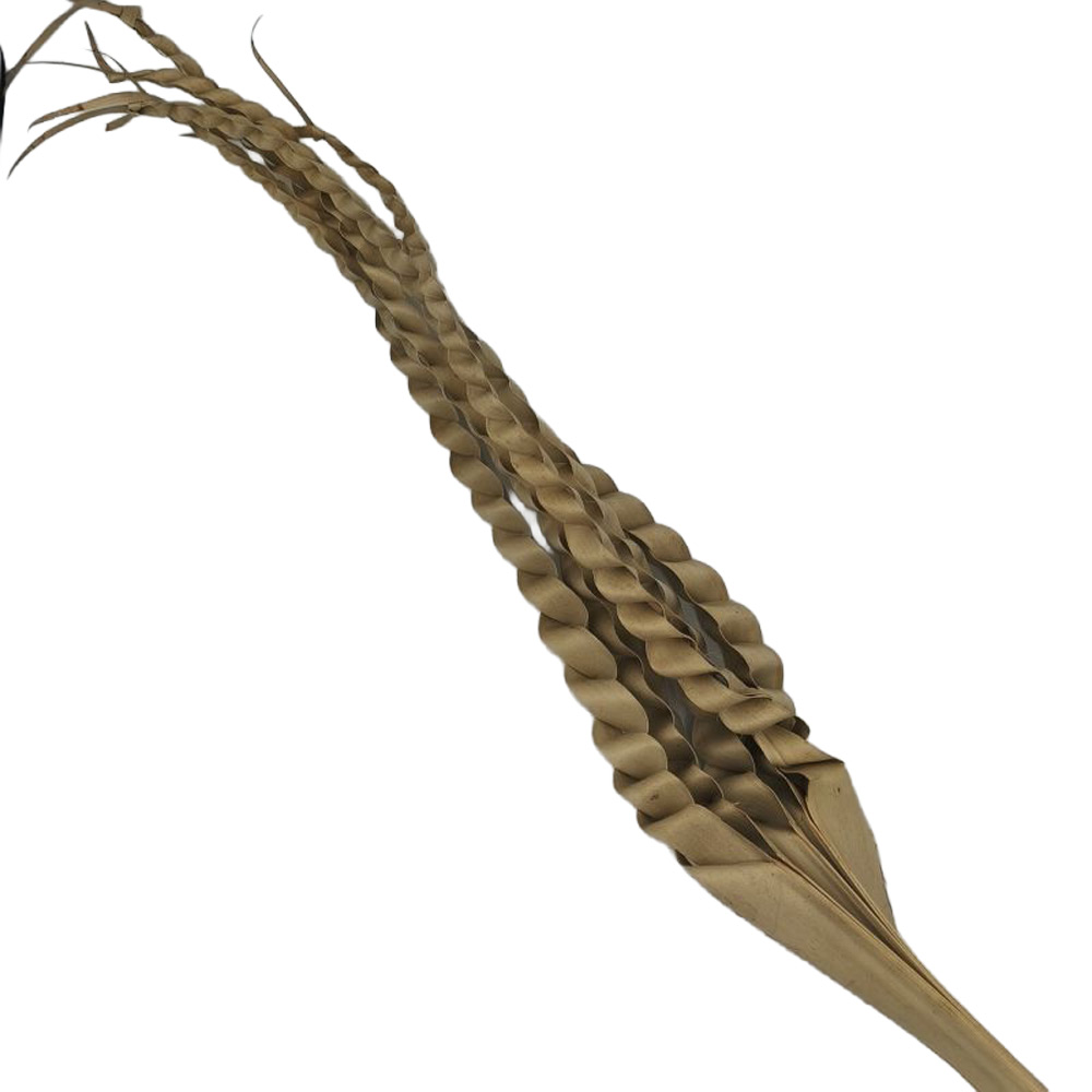 PALM FINGER NATUR X2