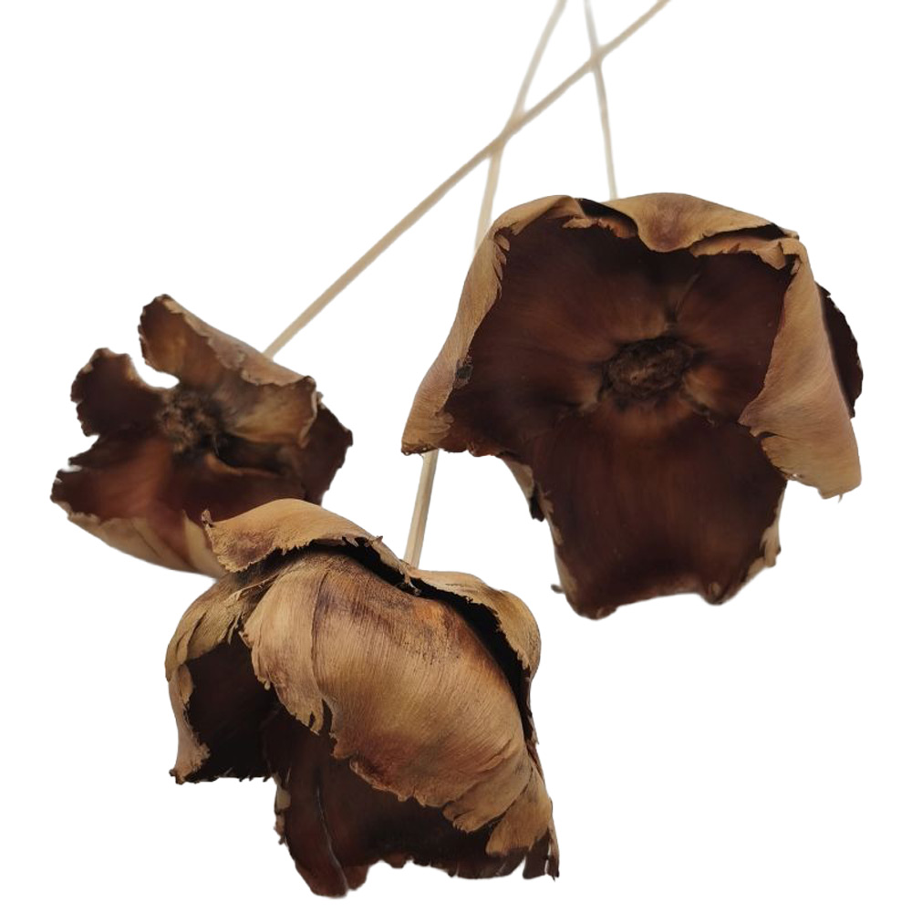 PALM CAP NATUR 40cm x15