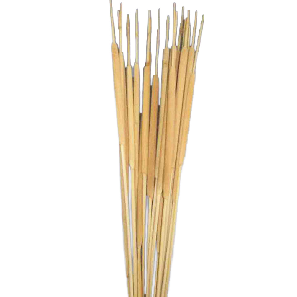 ROGOZ X50