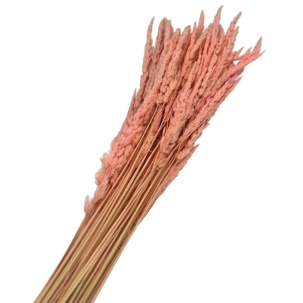 Suho cvetje Piumeta roza - 100 g