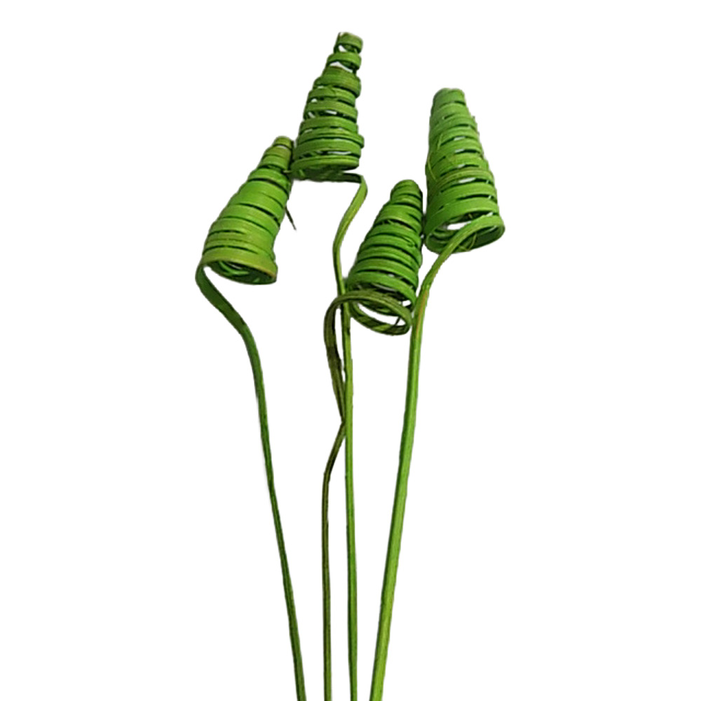 CANE CONE X20