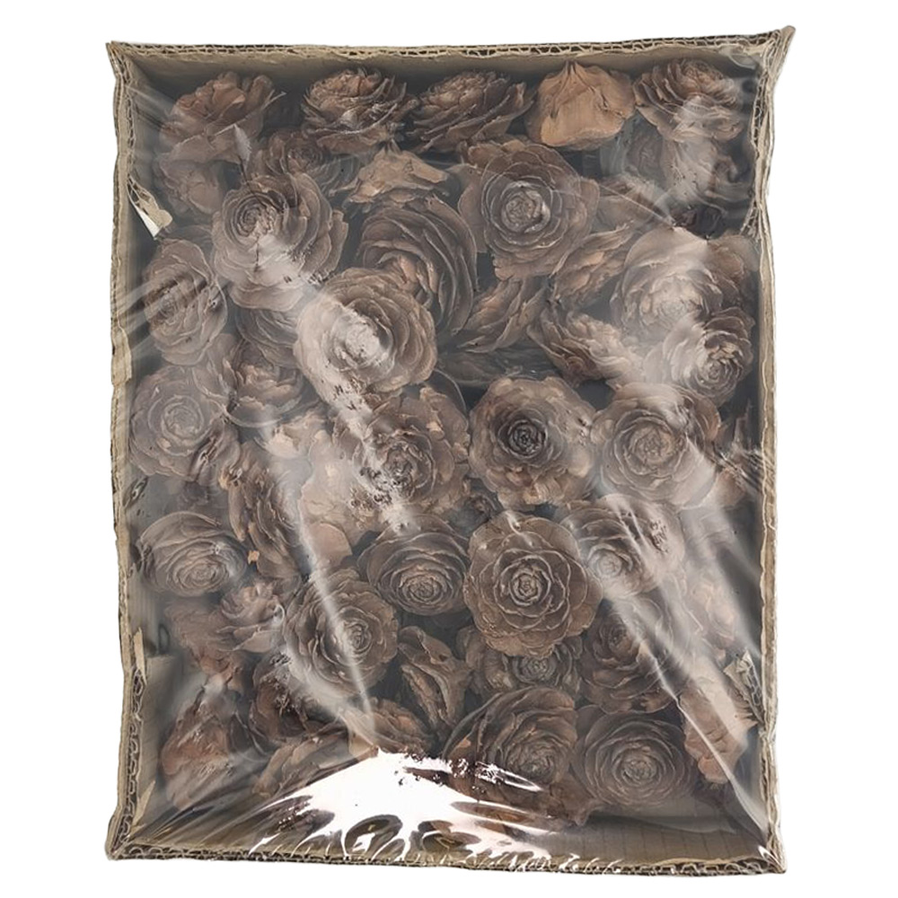 CEDAR CVET NATURX100