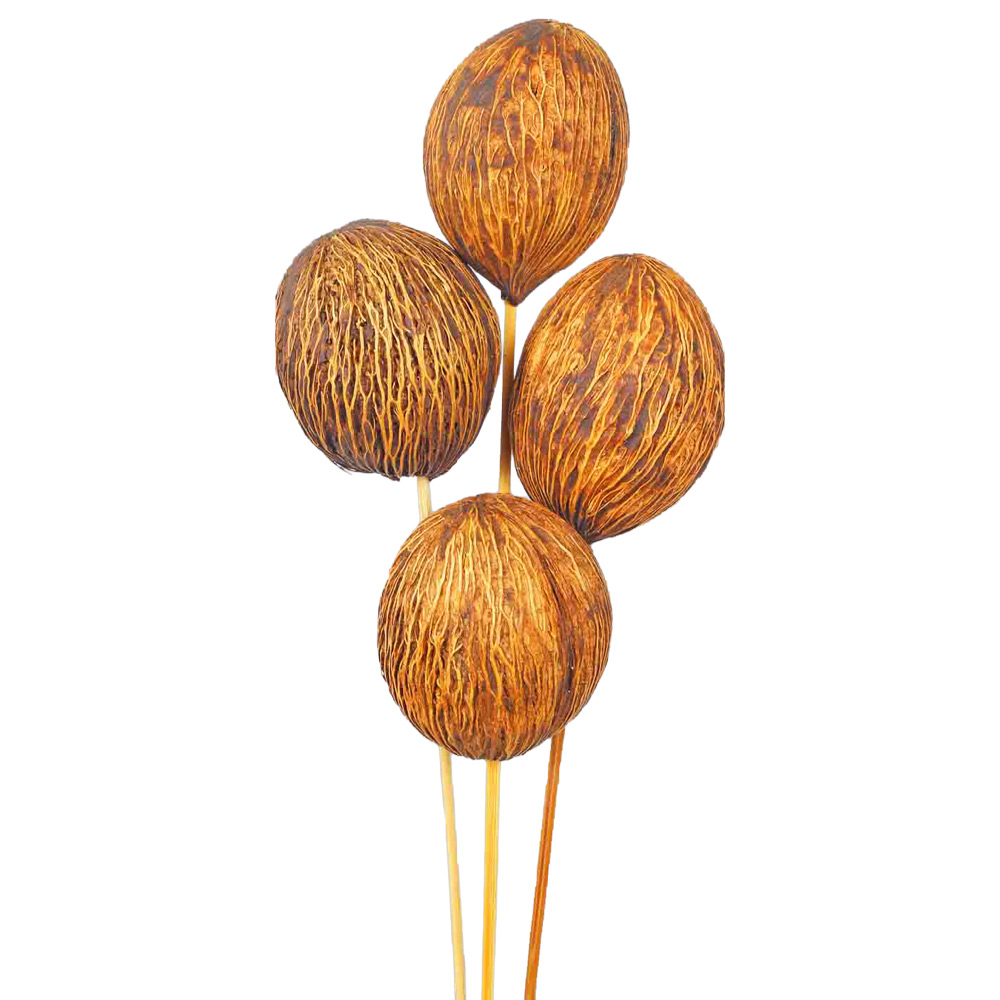 MINTOLA NA PALICI X15