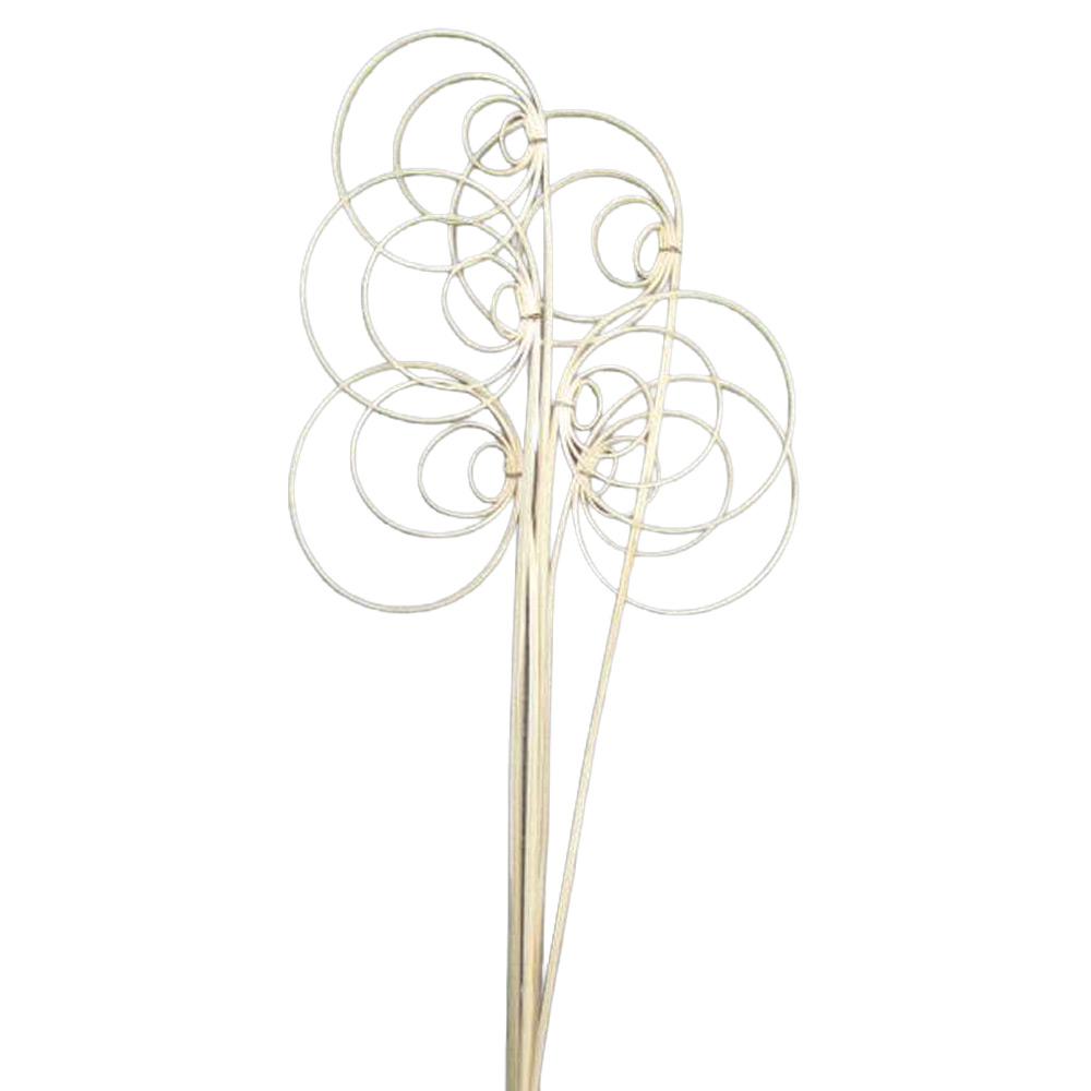 CANE SPIRALNI X20