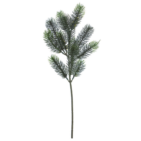 BOROVA VEJICA 52cm